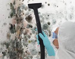 Reliable Hurt, VA Mold Prevention & Removal  Solutions